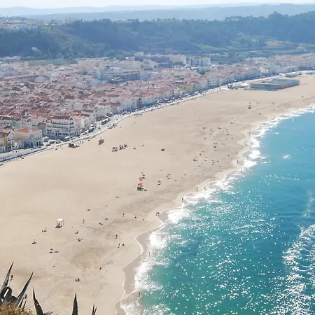 Casa Iroko - A Modern Villa, With Private Pool, In A Quiet Area Villa Nadadouro